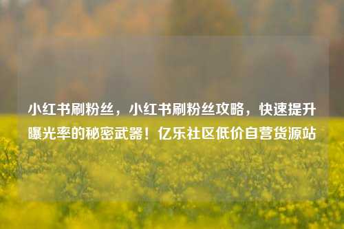 小红书刷粉丝，小红书刷粉丝攻略，快速提升曝光率的秘密武器！亿乐社区低价自营货源站  第1张