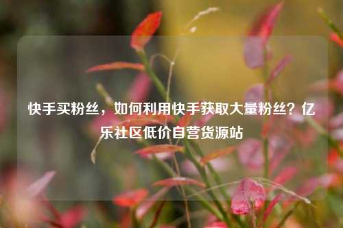 快手买粉丝，如何利用快手获取大量粉丝？亿乐社区低价自营货源站  第1张