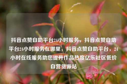 抖音点赞自助平台24小时服务，抖音点赞自助平台24小时服务在哪里，抖音点赞自助平台	，24小时在线服务助您提升作品热度亿乐社区低价自营货源站  第1张