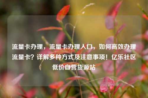 流量卡办理，流量卡办理入口，如何高效办理流量卡？详解多种方式及注意事项！亿乐社区低价自营货源站  第1张
