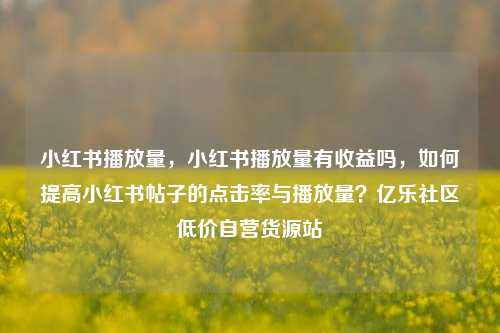 小红书播放量，小红书播放量有收益吗，如何提高小红书帖子的点击率与播放量？亿乐社区低价自营货源站  第1张