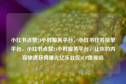 小红书点赞24小时服务平台，小红书任务接单平台，小红书点赞24小时服务平台	，让你的内容快速获得曝光亿乐社区SUP货源站  第1张
