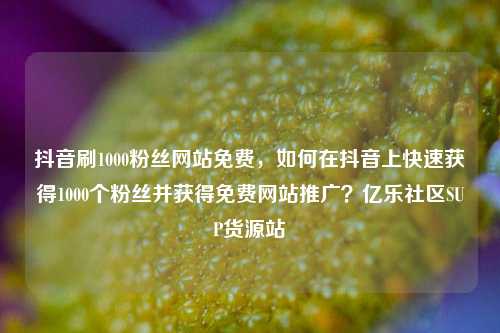 抖音刷1000粉丝网站免费，如何在抖音上快速获得1000个粉丝并获得免费网站推广？亿乐社区SUP货源站  第1张