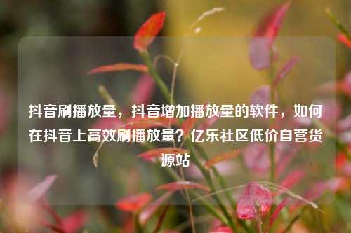 抖音刷播放量	，抖音增加播放量的软件，如何在抖音上高效刷播放量？亿乐社区低价自营货源站  第1张