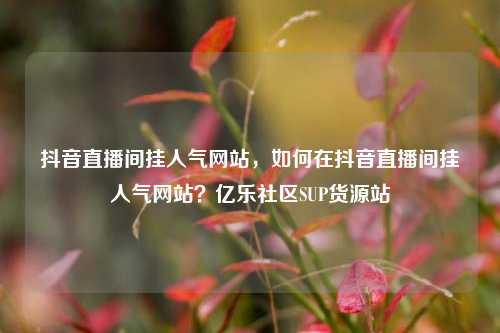抖音直播间挂人气网站，如何在抖音直播间挂人气网站？亿乐社区SUP货源站  第1张