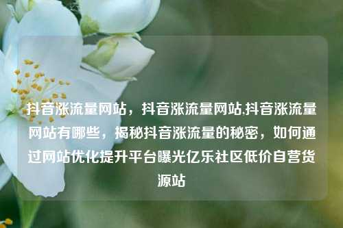 抖音涨流量网站，抖音涨流量网站,抖音涨流量网站有哪些	，揭秘抖音涨流量的秘密，如何通过网站优化提升平台曝光亿乐社区低价自营货源站  第1张