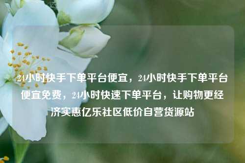 24小时快手下单平台便宜	，24小时快手下单平台便宜免费，24小时快速下单平台，让购物更经济实惠亿乐社区低价自营货源站  第1张