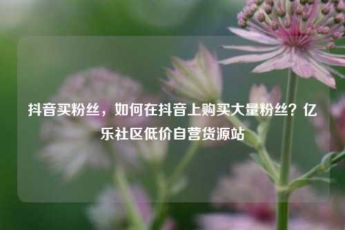 抖音买粉丝，如何在抖音上购买大量粉丝？亿乐社区低价自营货源站  第1张
