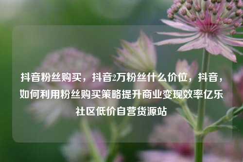 抖音粉丝购买，抖音2万粉丝什么价位	，抖音，如何利用粉丝购买策略提升商业变现效率亿乐社区低价自营货源站  第1张