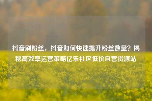 抖音刷粉丝，抖音如何快速提升粉丝数量？揭秘高效率运营策略亿乐社区低价自营货源站  第1张