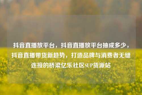 抖音直播放平台，抖音直播放平台抽成多少，抖音直播带货新趋势	，打造品牌与消费者无缝连接的桥梁亿乐社区SUP货源站  第1张