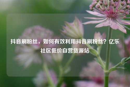 抖音刷粉丝，如何有效利用抖音刷粉丝？亿乐社区低价自营货源站  第1张