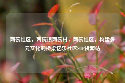 两碗社区，两碗镇两碗村，两碗社区	，构建多元文化的桥梁亿乐社区SUP货源站  第1张