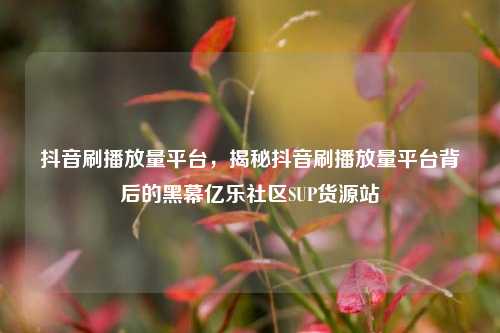 抖音刷播放量平台	，揭秘抖音刷播放量平台背后的黑幕亿乐社区SUP货源站  第1张