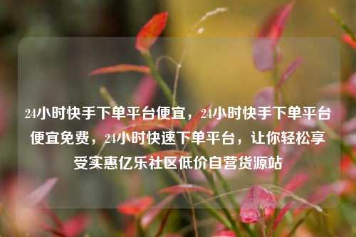 24小时快手下单平台便宜，24小时快手下单平台便宜免费，24小时快速下单平台	，让你轻松享受实惠亿乐社区低价自营货源站  第1张