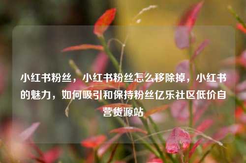 小红书粉丝	，小红书粉丝怎么移除掉，小红书的魅力，如何吸引和保持粉丝亿乐社区低价自营货源站  第1张