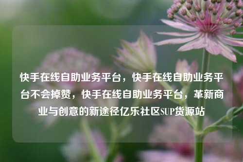 快手在线自助业务平台，快手在线自助业务平台不会掉赞	，快手在线自助业务平台，革新商业与创意的新途径亿乐社区SUP货源站  第1张